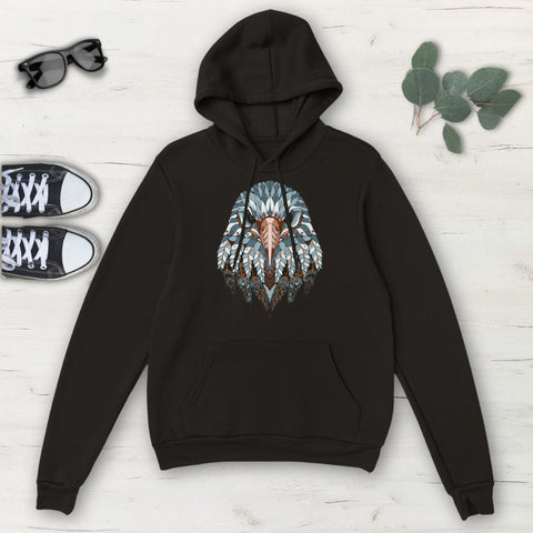 Image of Native Eagle Ethnic Multicolored Classic Unisex Pullover Hoodie, Mens, Womens,